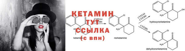 PSILOCYBIN Богданович